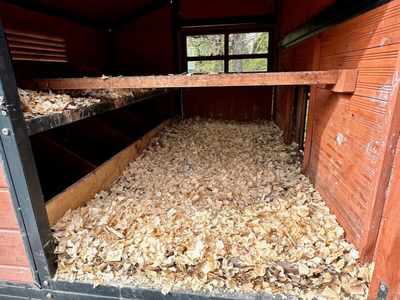 The Deep Litter Method: Never Clean Your Coop All Winter