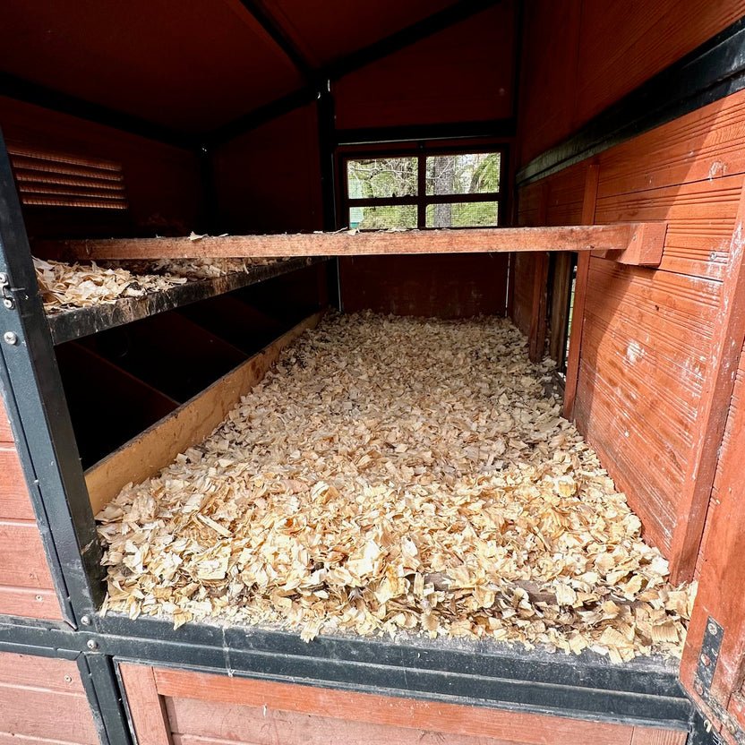 The Deep Litter Method: Never Clean Your Coop All Winter