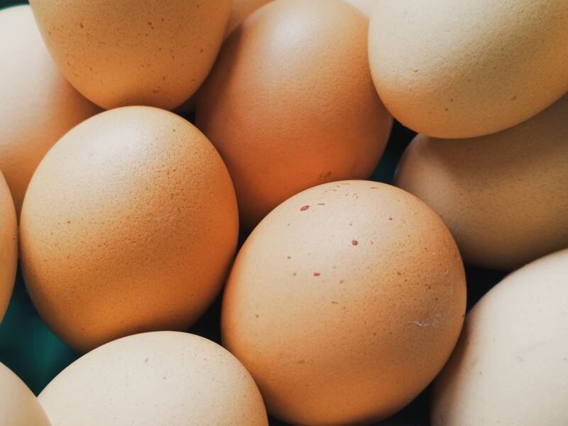 How to Keep Chickens Laying Eggs in Winter