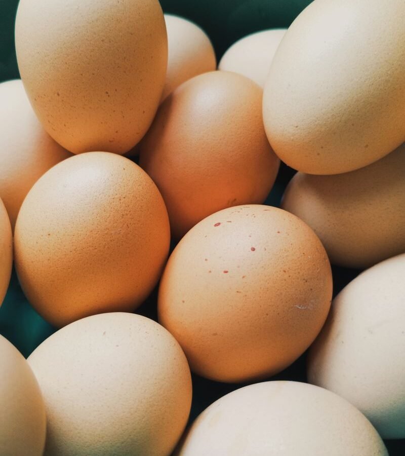 How to Keep Chickens Laying Eggs in Winter