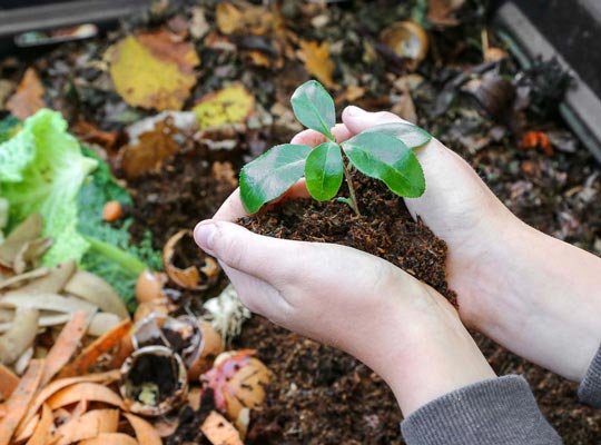 Composting 101: The Beginner’s Guide to Black Gold