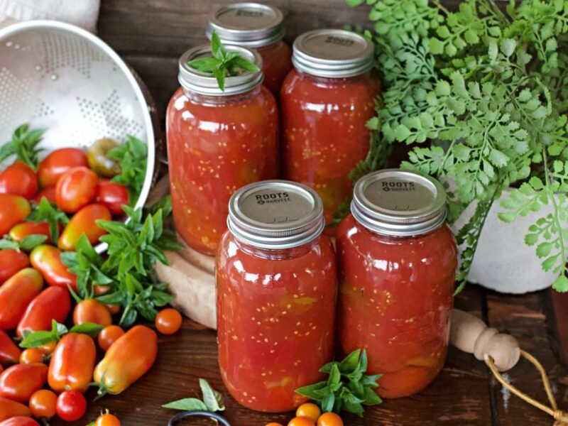 How to Can Tomatoes: The Last-Batch Fall Guide